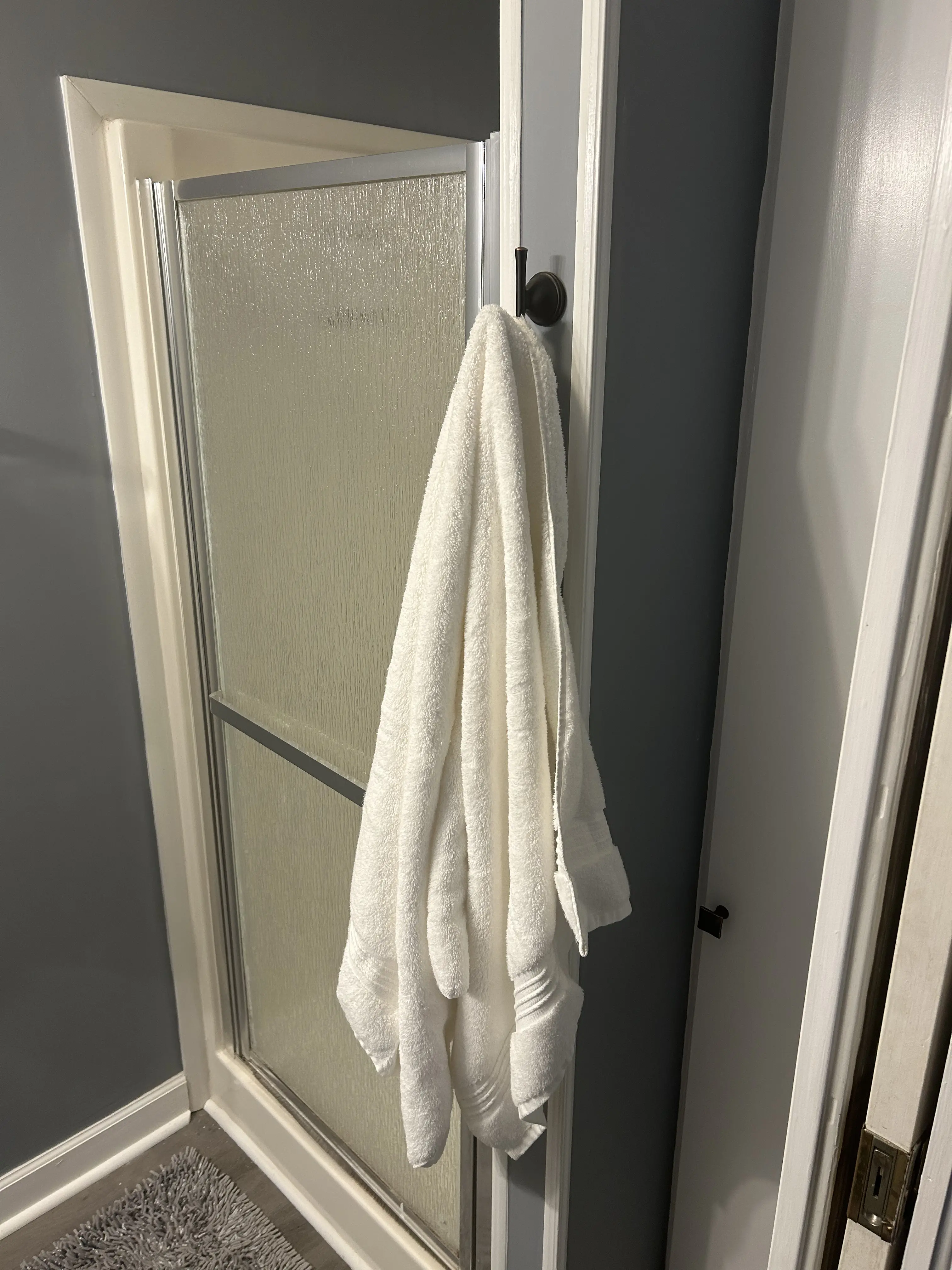 Towel hanging on a towel hook by shower door